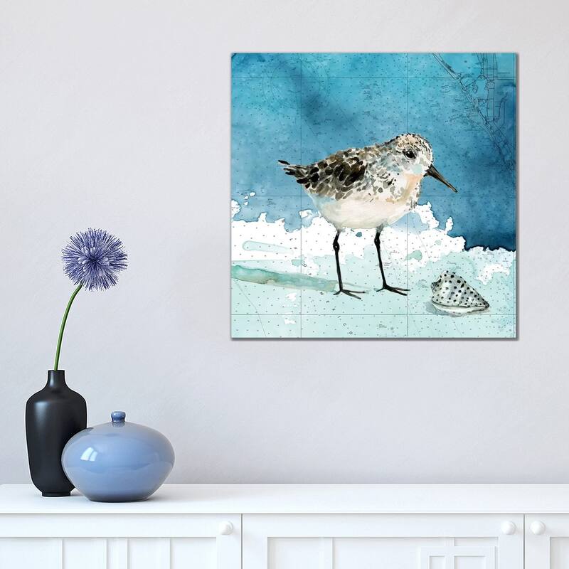 iCanvas "Bay Shore Sandpiper I" by Carol Robinson Canvas Print - 18x18x1.5