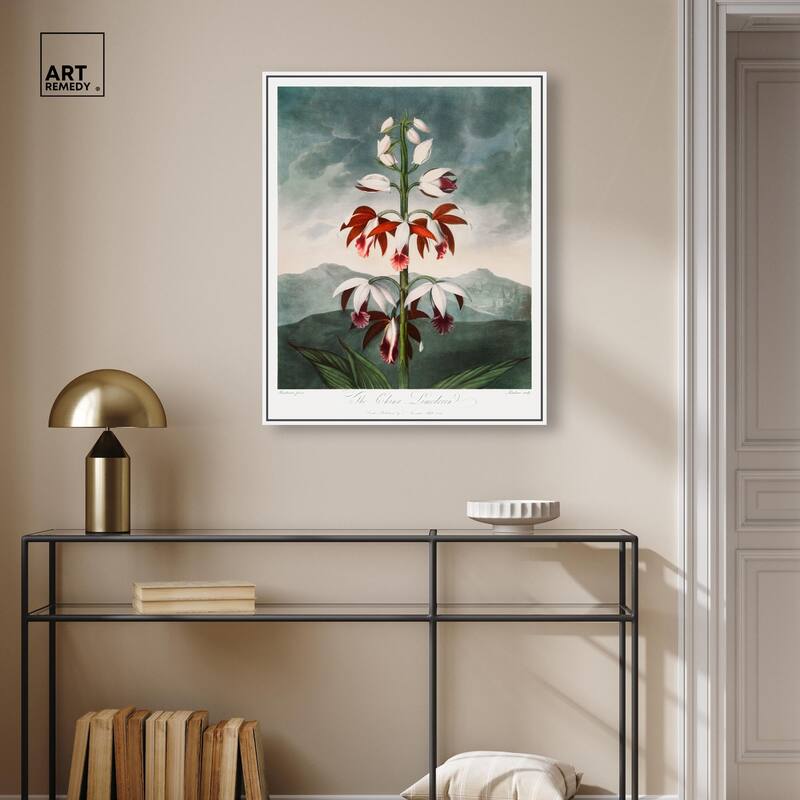 The China Limodoron 1807 Canvas by Art Remedy