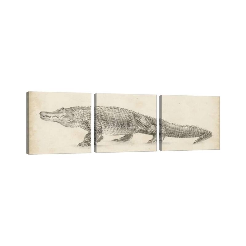 iCanvas "Alligator Sketch" by Ethan Harper 3-Piece Canvas Wall Art Set