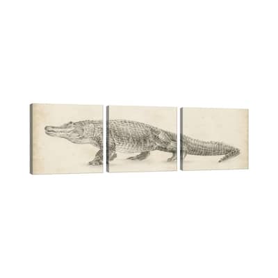 iCanvas "Alligator Sketch" by Ethan Harper 3-Piece Canvas Wall Art Set