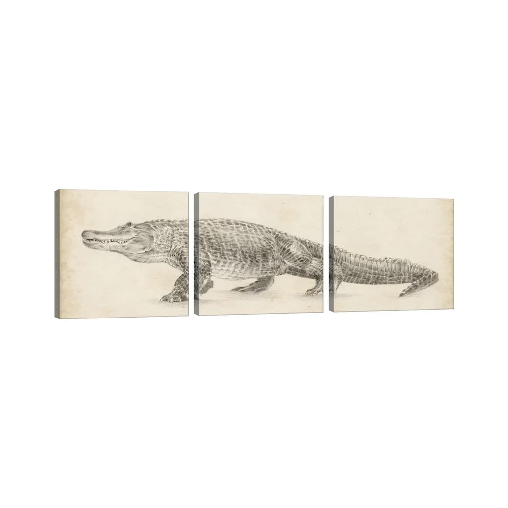 iCanvas "Alligator Sketch" by Ethan Harper 3-Piece Canvas Wall Art Set