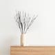 Option Birch
