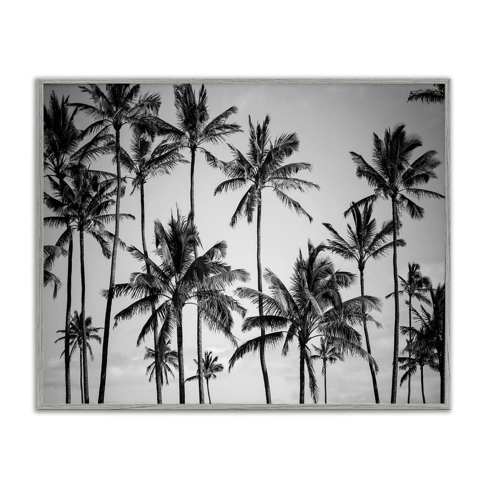 Stupell Palm Trees Skyline Black and White Photography Framed Giclee Texturized Art by Design Fabrikken
