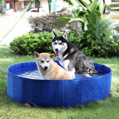 47.2" Wide PVC Pet Dog Swimming Pool - Blue - N/A