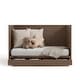preview thumbnail 23 of 37, Graco Theo 3-in-1 Convertible Crib with Drawer