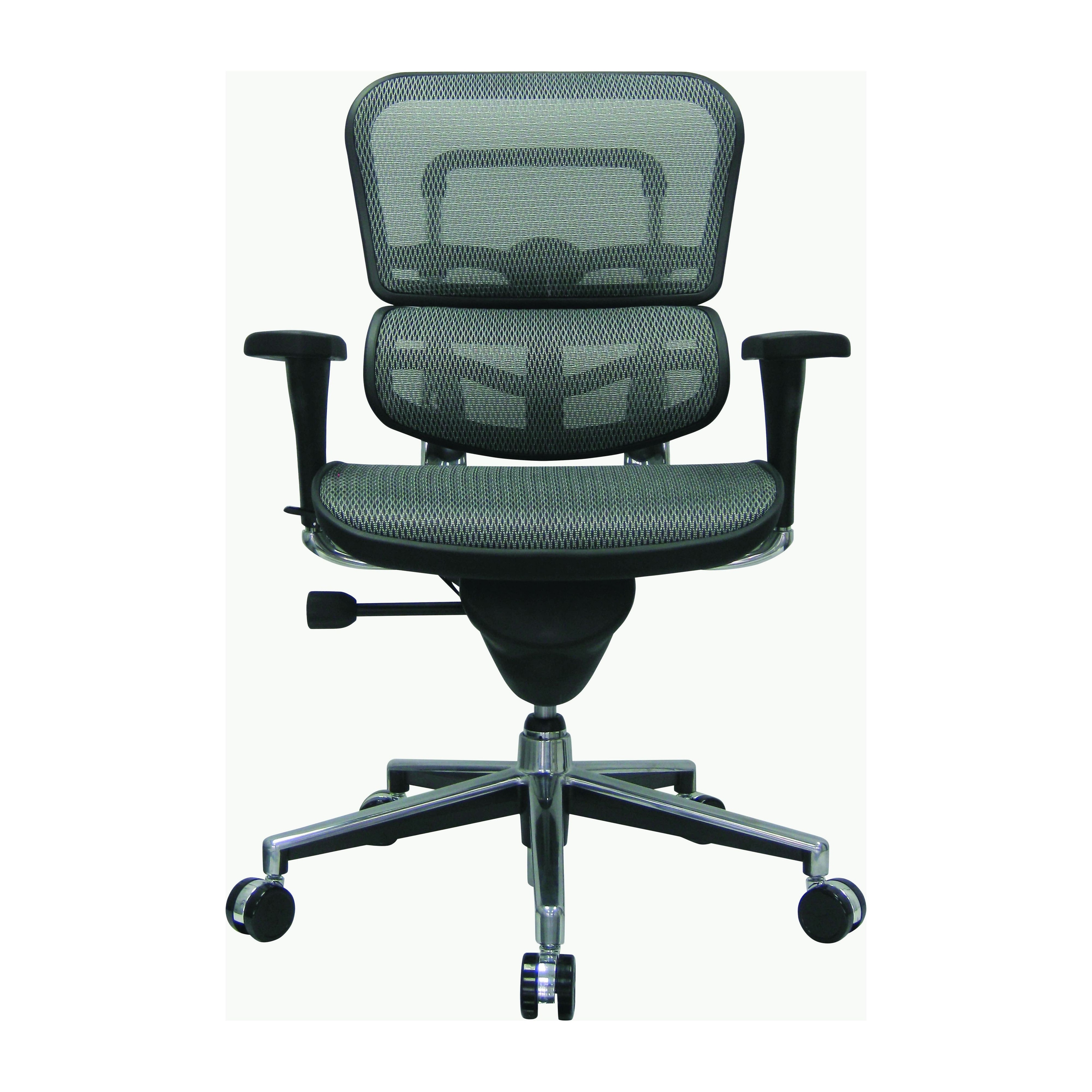 Eurotech seating ergohuman high back mesh outlet managers chair
