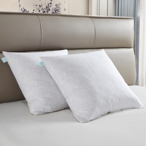 Martha Stewart Decorative Feather Pillow Insert (Set of 2) - White