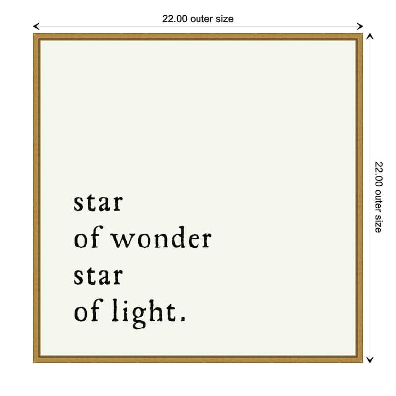 Star Of Wonder by Amanti Art Portfolio Framed Canvas Wall Art