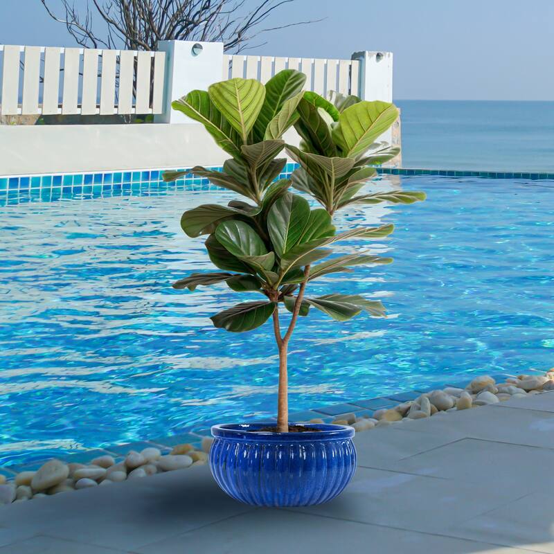 Sunnydaze Ribbed Glazed Ceramic Planter Bowl - Imperial Blue