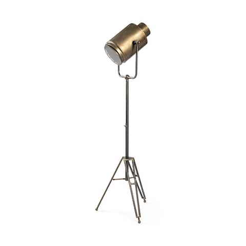 Debdou Gold Metal Adjustable Cinema-Style Floor Lamp