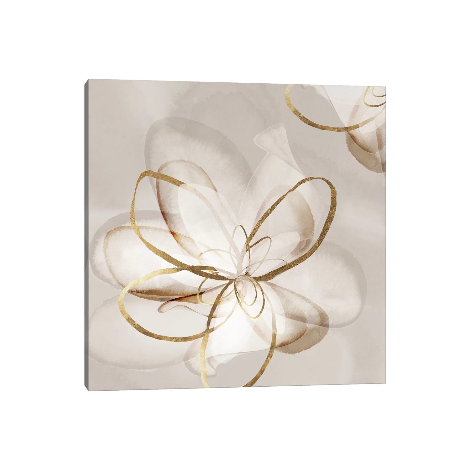 iCanvas "Transparent Beauty II " by Eva Watts Canvas Print