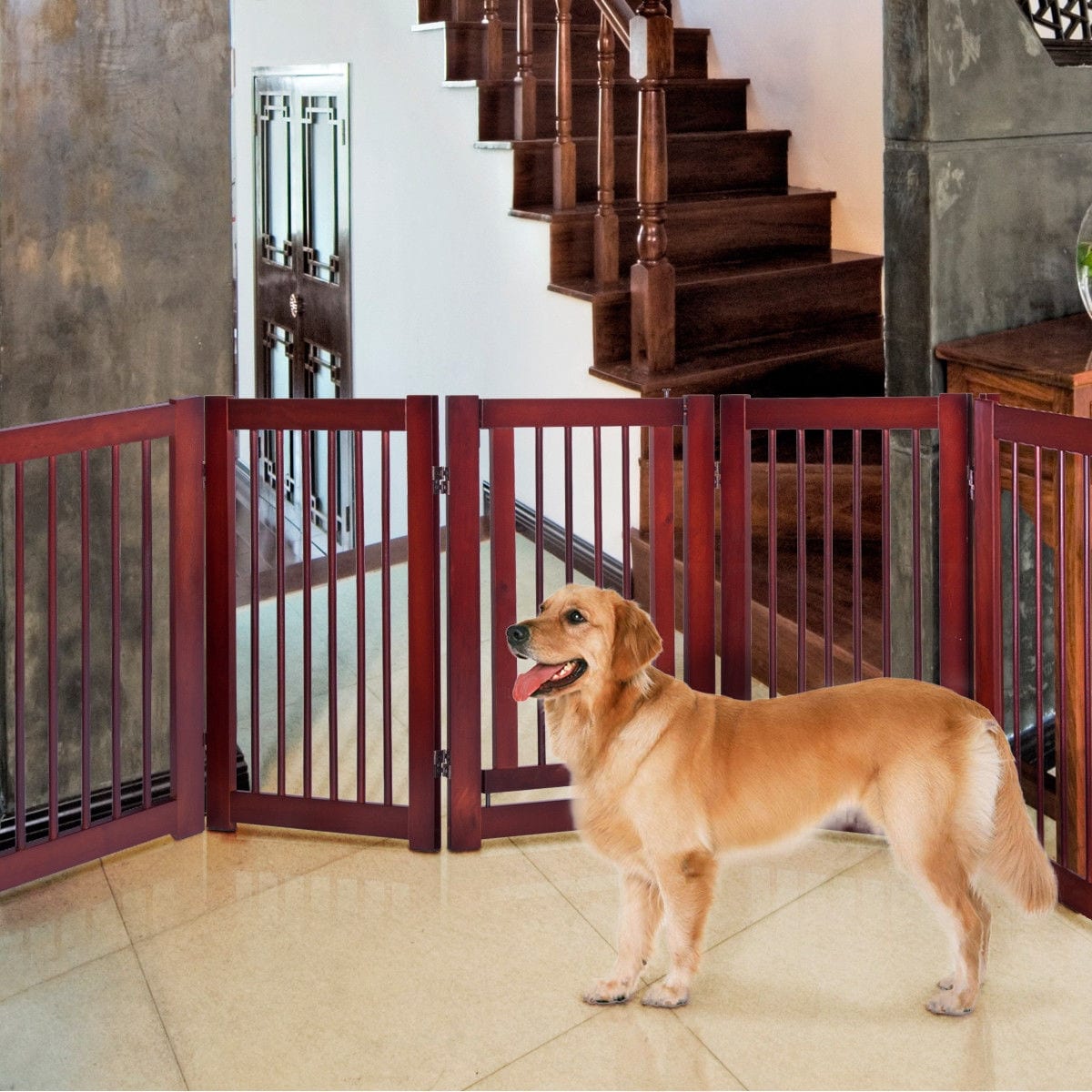 dog safety gate