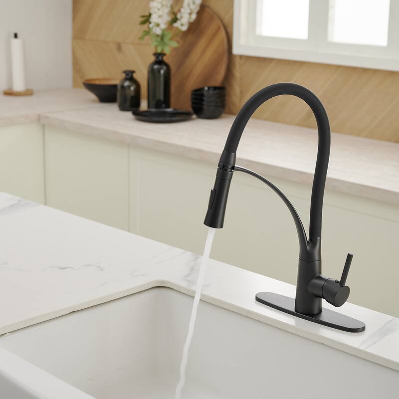 WIZ Single-Handle Pull-Down Sprayer 2 Spray High Arc Kitchen Faucet
