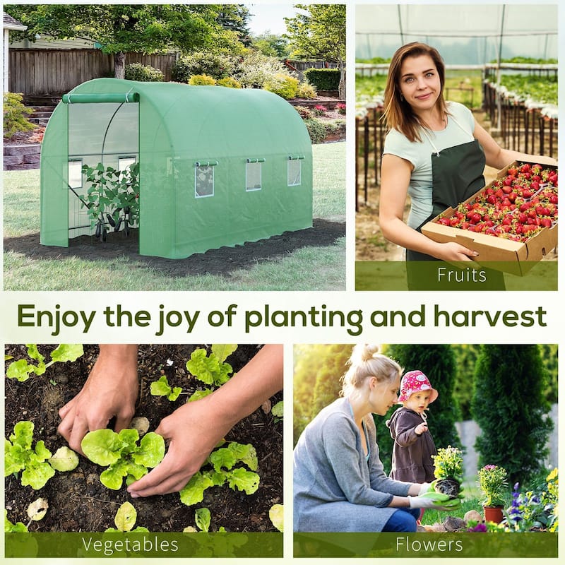 Walk-in Tunnel Greenhouse Hot House