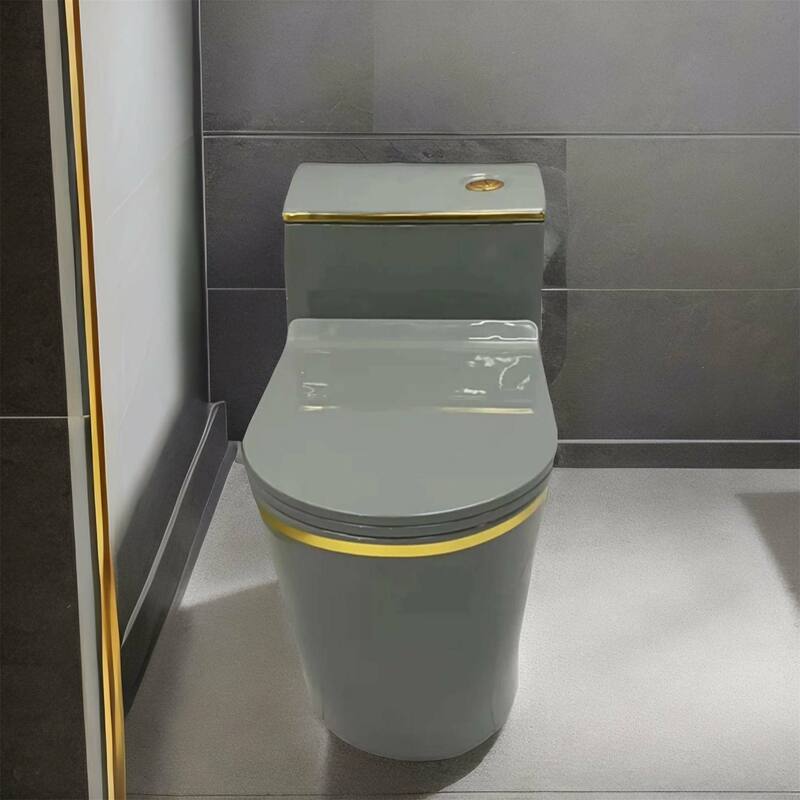 Grey Ceramic One Piece Toilet with Seat