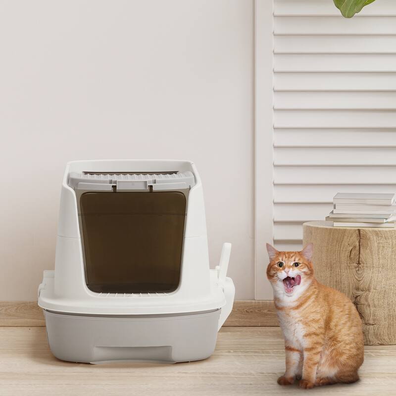 Cat Litter Box with Scoop - A