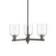 Option Oil Rubbed Bronze / Clear