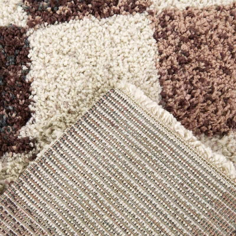 Baruch Checkered Shag Area Rug