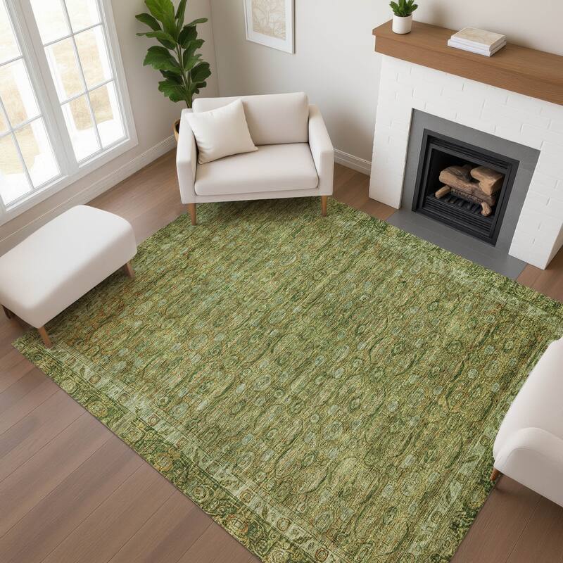 Premium Washable Super Soft Vintage Traditional Mayfield Rug - Aloe - 2'6" x 3'10"