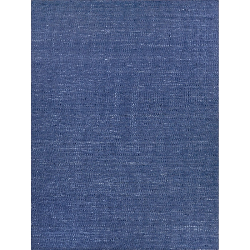 EXQUISITE RUGS Gamma Indoor/Outdoor Flatweave PET yarn Blue Area Rug.