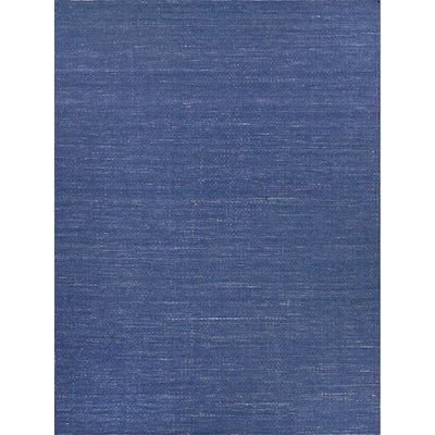 EXQUISITE RUGS Gamma Indoor/Outdoor Flatweave PET yarn Blue Area Rug.