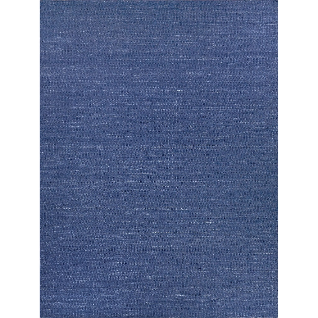 EXQUISITE RUGS Gamma Indoor/Outdoor Flatweave PET yarn Blue Area Rug.
