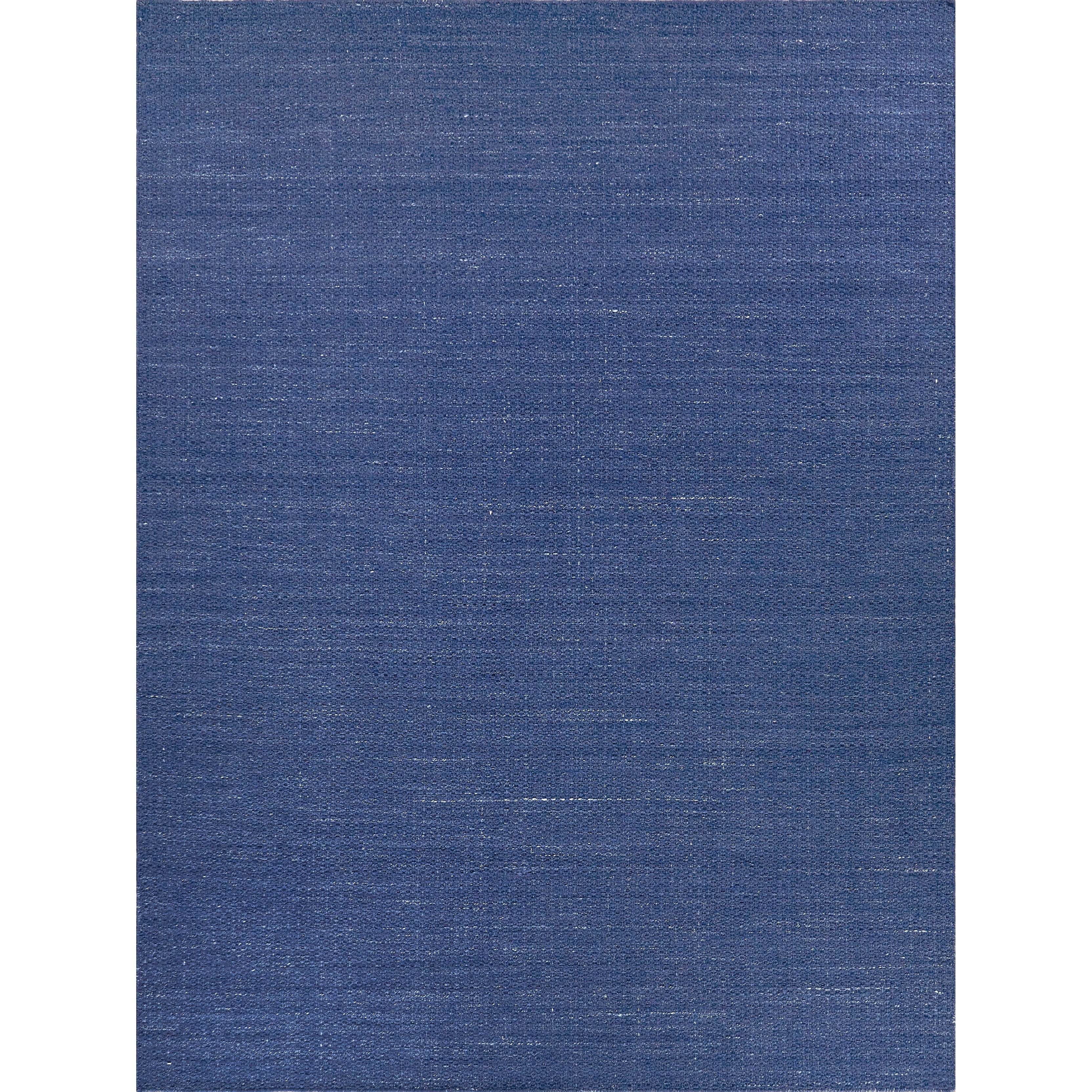 EXQUISITE RUGS Gamma Indoor/Outdoor Flatweave PET yarn Blue Area Rug.