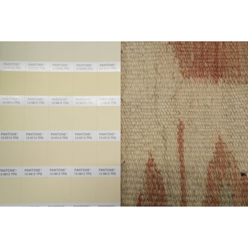 Hand Woven Oriental 100% Wool Carpet Southwestern Tribal Beige & Ivories Kilim Area Rug - 5' 9'' X 4' 0''