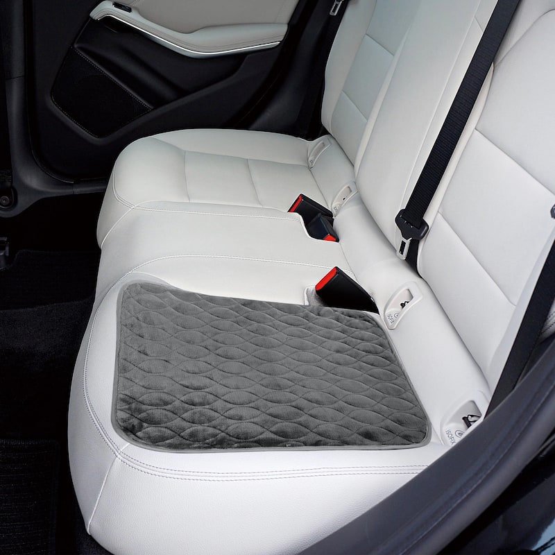 Fresh Ideas Waterproof & Washable Seat Protector 2-Pack with Antimicrobial UltraFresh - N/A