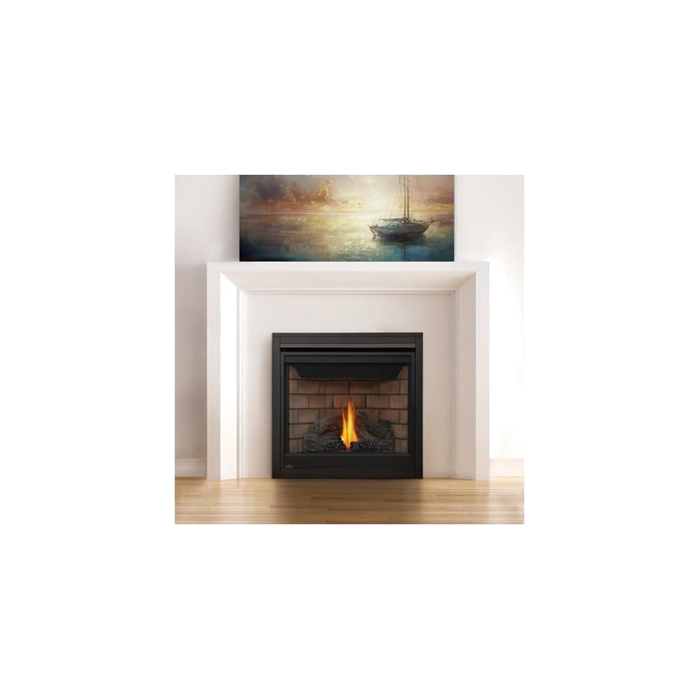 Shop Napoleon B35te 20000 Btu Built In Direct Vent Natural Gas