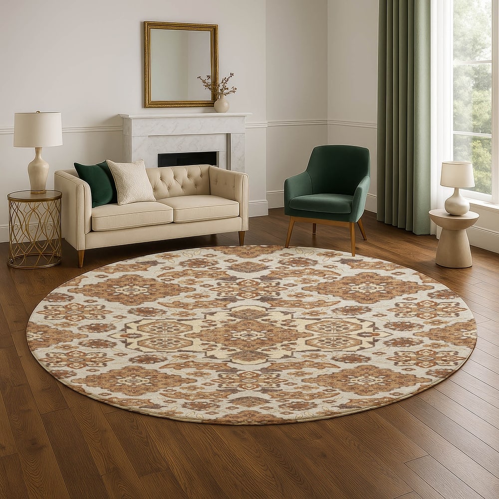 Premium Washable Super Soft Classic Traditional Mayfield Rug