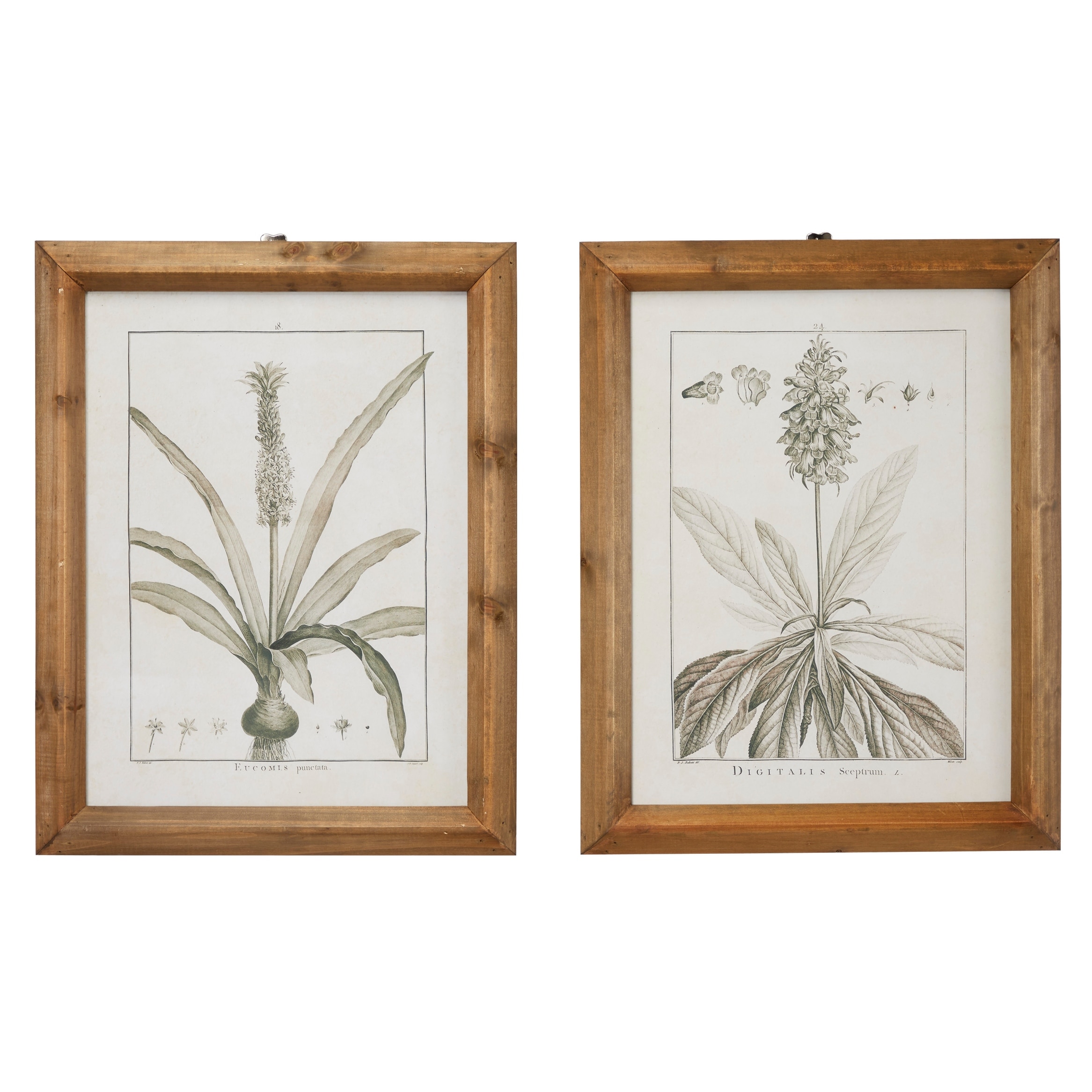 Large Black And White Vintage Botanical Prints In Natural Wood Frames Set Of 2 Overstock 32112516 Wood photo prints upload any photo and we print it on premium plywood made in the uk delivery in 3 days. large black and white vintage botanical prints in natural wood frames set of 2