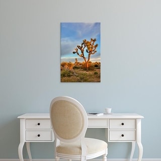 Shop Easy Art Prints Jamie Judy Wild S Joshua Tree At Sunrise