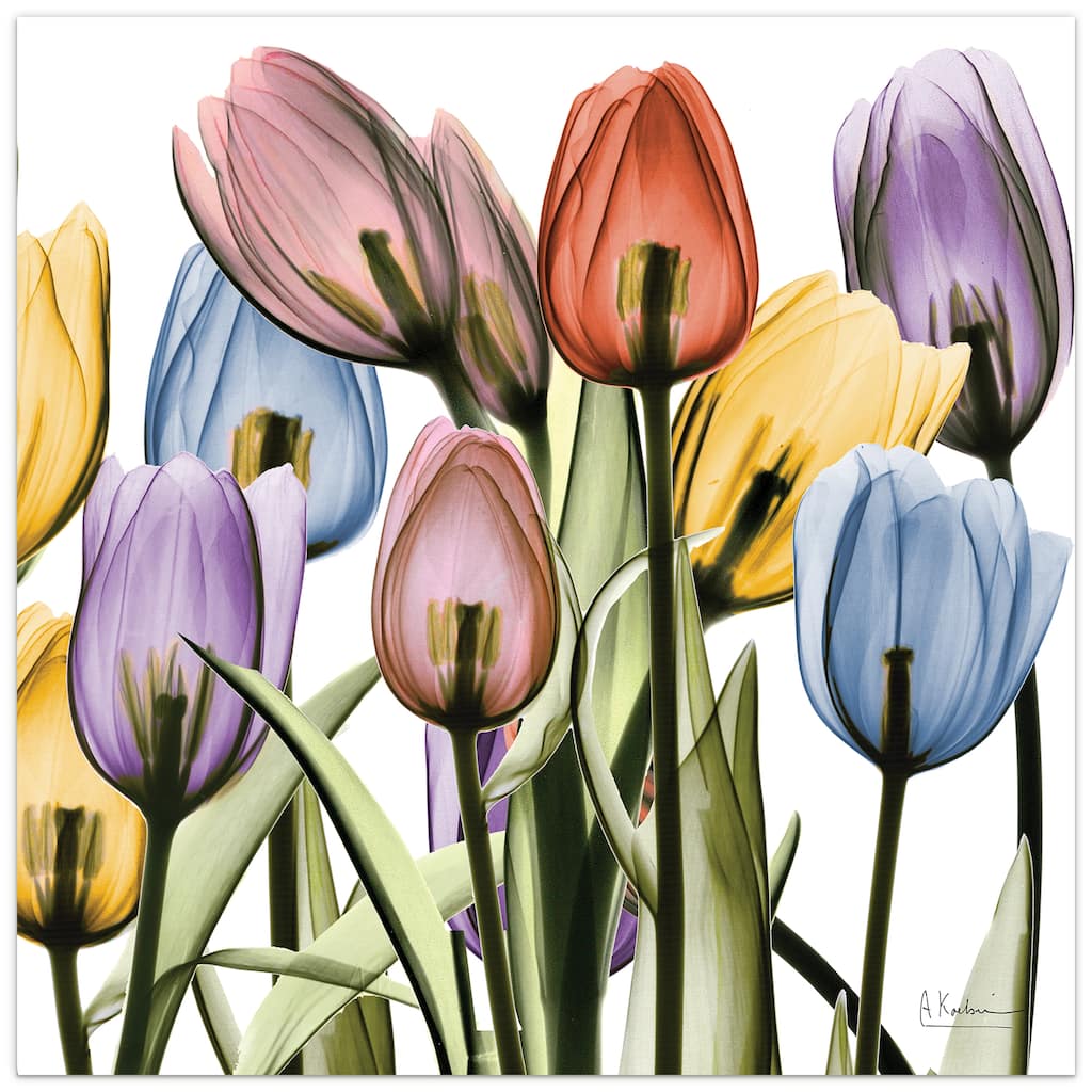 "Tulip Scape x-ray II" Frameless Free Floating Reverse Printed Tempered Art Glass Wall Art