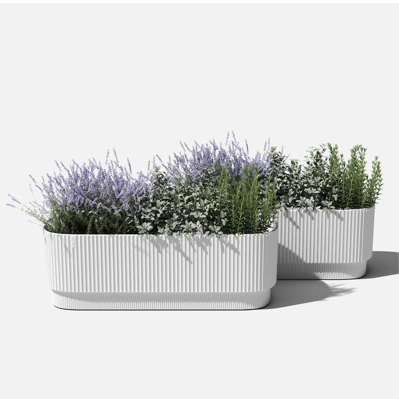 Veradek Demi Series 42'' Self-Watering Plastic Garden Bed