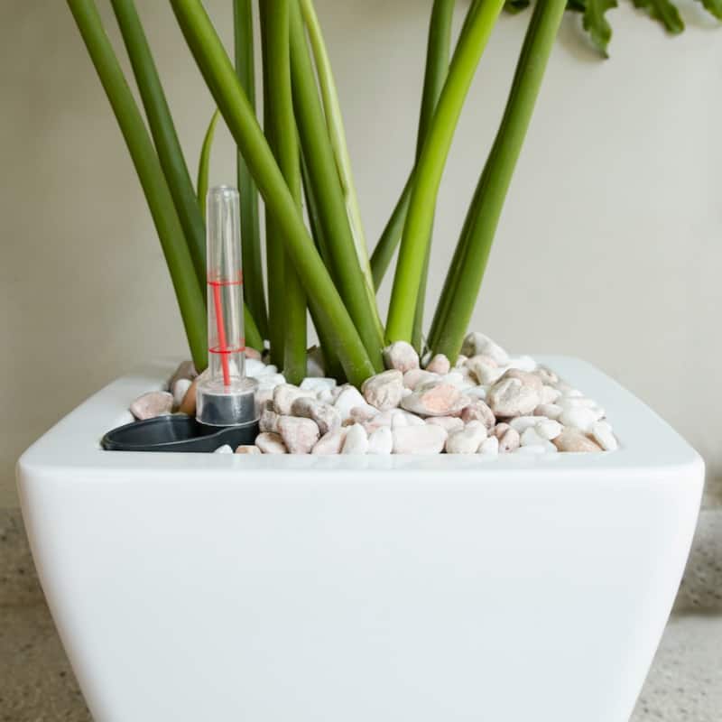2-Pack Smart Self-watering Planter Pot for Indoor and Outdoor - White - Square Cone