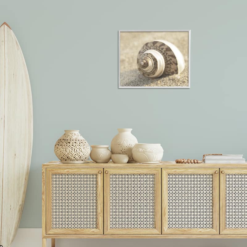 Stupell Neutral Tone Seashell Framed Giclee Art Design By Dora Rotondella