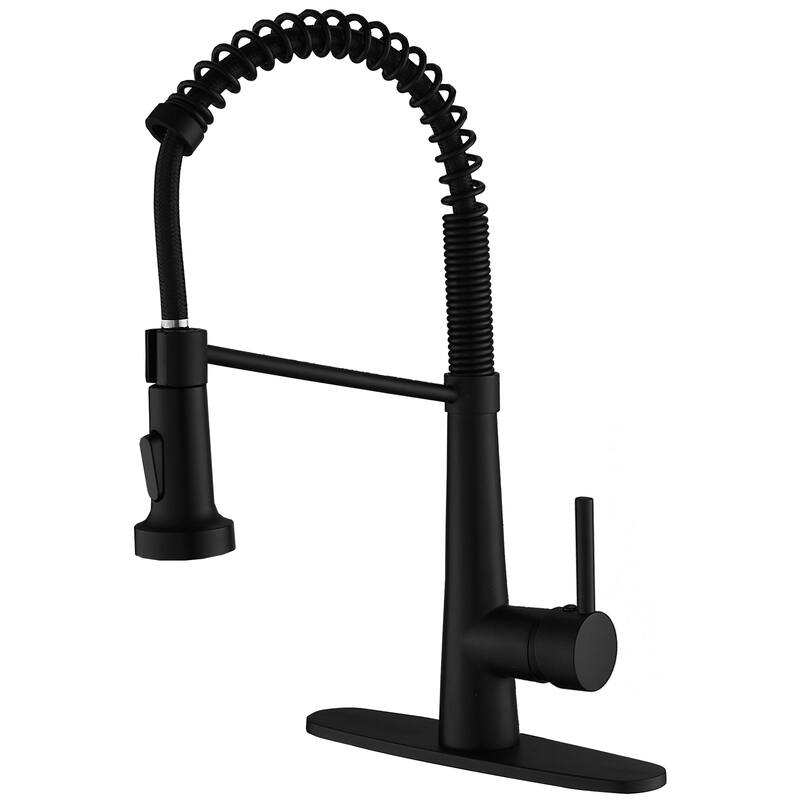 WIZ Pull-Down Sprayer 2 Spray High Arc Kitchen Faucet - Black
