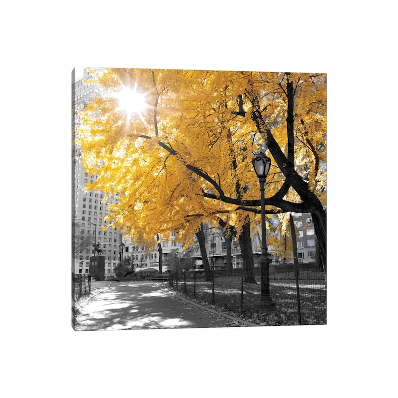 iCanvas "Park Pretty II" by Assaf Frank Canvas Print