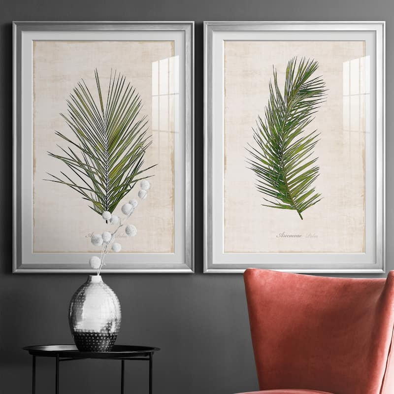 Palm Botanical I Premium Framed Print - Ready to Hang