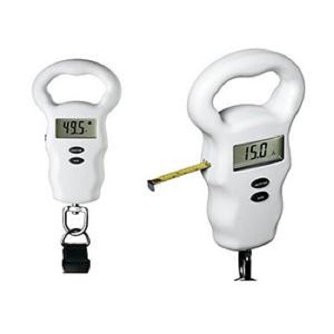 travel smart conair weight