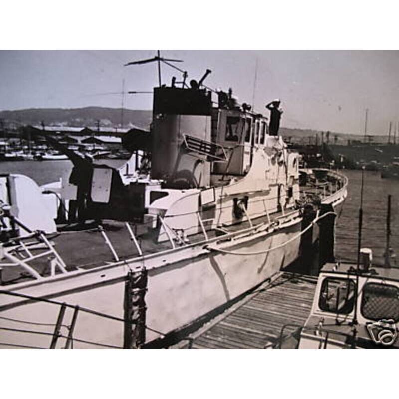 USCGC Cape Carter (WPB-95309) 30 Inches L Ship Model