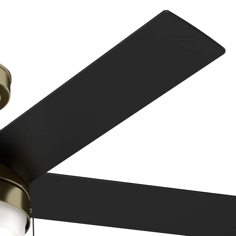 Hunter 52" Claudette Ceiling Fan with LED Light Kit and Pull Chain