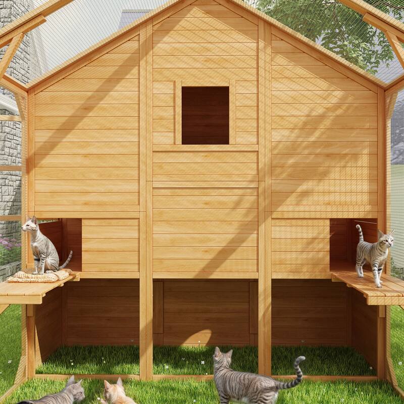 Cat Catio Window Box for 6 to 8 Kittens, Lockable House with 5 Windows