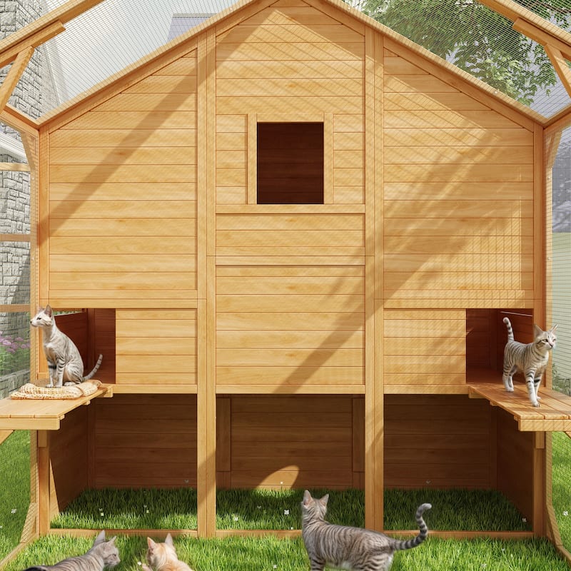 Large Outdoor Wooden Chicken Coop & Cat Enclosure with Run, 2 Colors Pet Cage