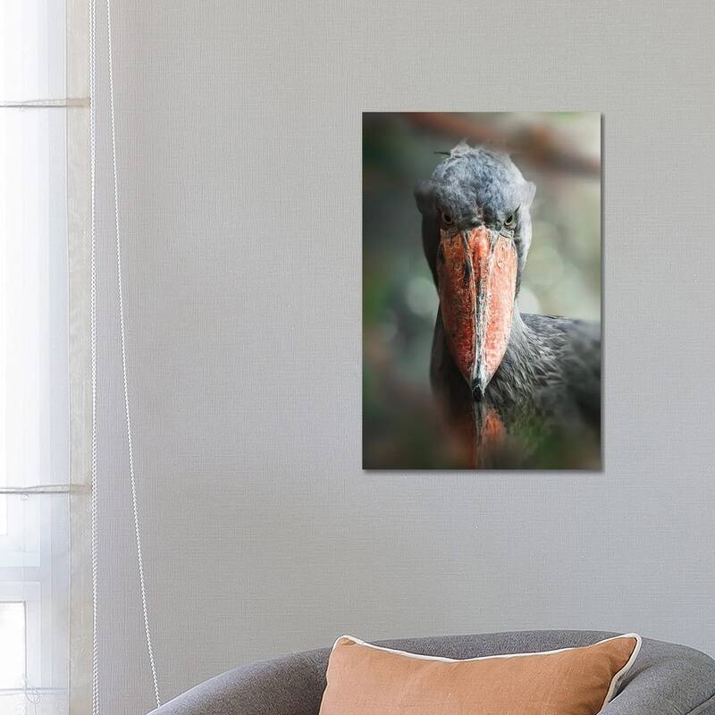 iCanvas "The Shoebill" by Zenja Gammer Canvas Print - 26x18x1.5