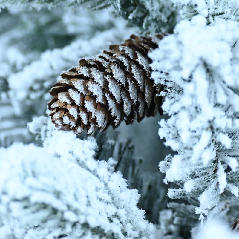 Pre-Lit Flocked Tabletop Tree - Warm White LED Lights, PE+PVC Branches, Pine Cones, Pot Base - White+Green