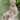 Sitting Buddha Design Sandstone Water Fountain Outdoor for Lawn & Garden - N/A