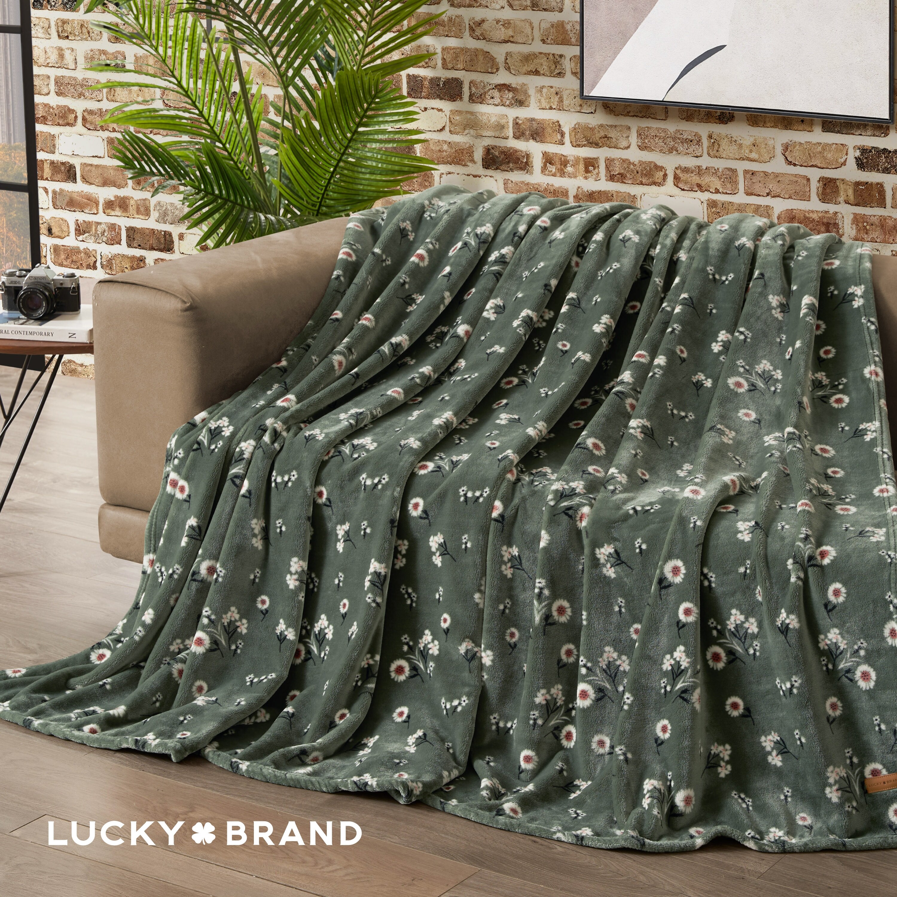 Lucky Brand Daisy Plush Throw Blanket - On Sale - Overstock - 39053389