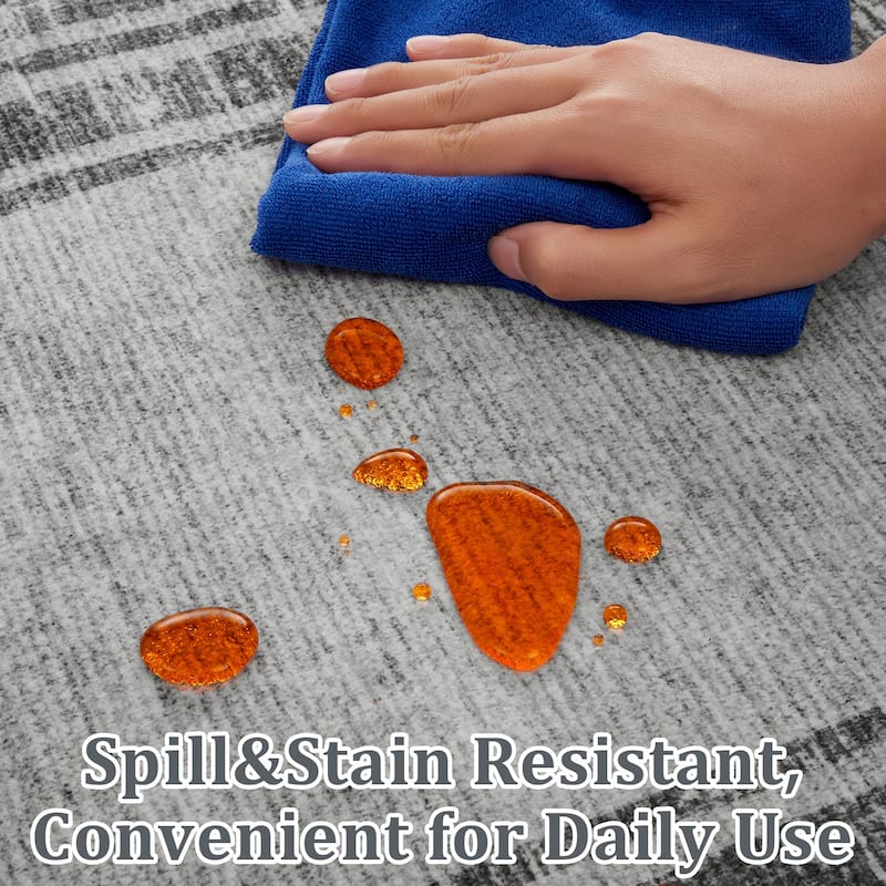 Washable Area Rugs for Living Room, Soft Modern Bordered Rug Non Slip Low Profile Carpets for Bedroom Dining Room